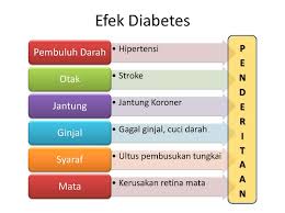 EFEK DM