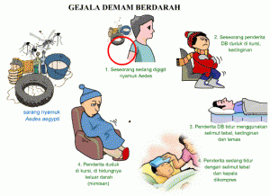 gejala-demam-berdarah1